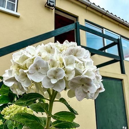 Luana House Leilighet Biscoitos  Eksteriør bilde